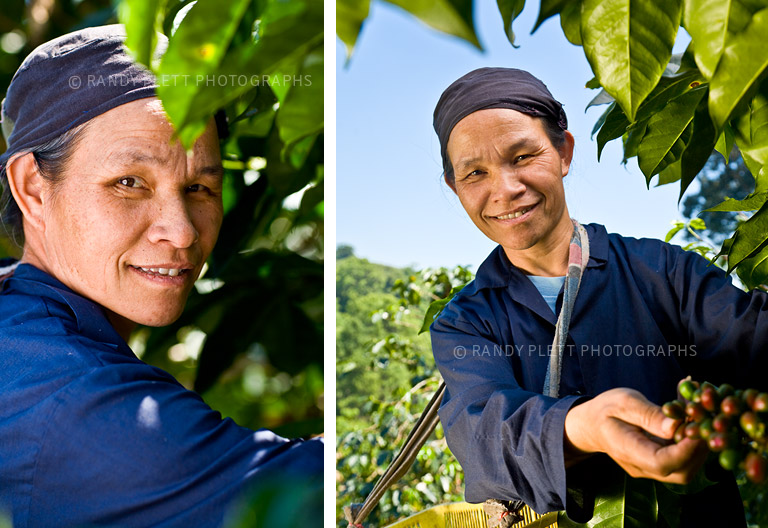 Fair Trade Coffee Farmer in Thailand